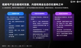 汕尾城市爆料新闻报道视频,最新视频揭露城市动态